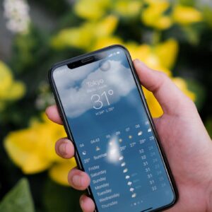 Person holding a smartphone displaying Tokyo weather forecast with yellow flowers in the blurred background.
